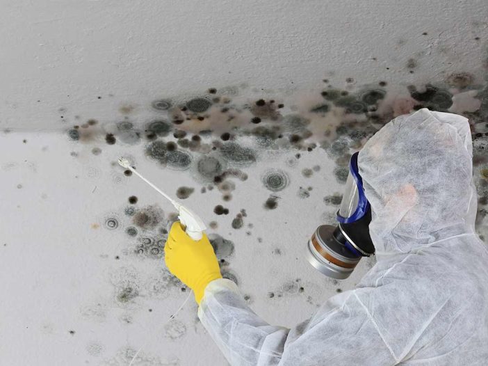 A professional doing mold testing