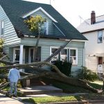 Signs of Storm Damage